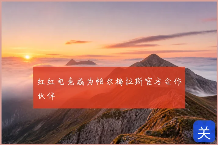 红红电竞成为帕尔梅拉斯官方合作伙伴
